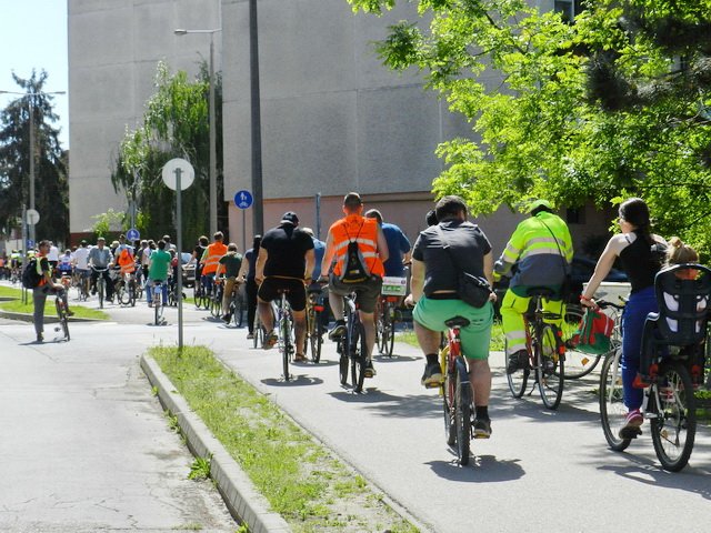 Critical Mass 2018 32